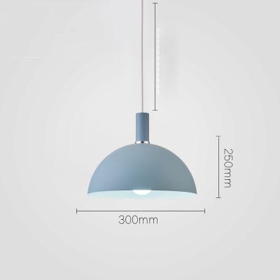 Modern Round Lampshade Hanging Light