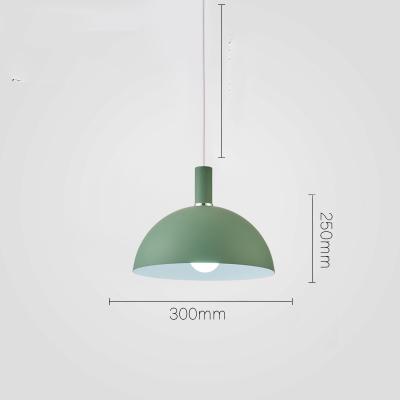 Modern Round Lampshade Hanging Light