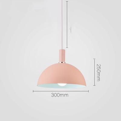 Modern Round Lampshade Hanging Light