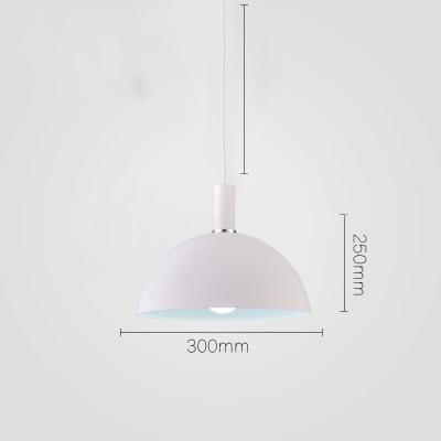 Modern Round Lampshade Hanging Light