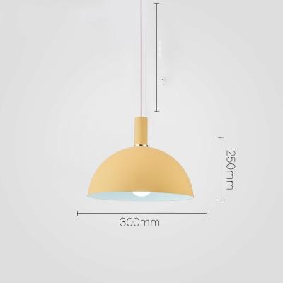Modern Round Lampshade Hanging Light