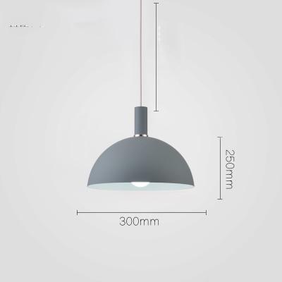 Modern Round Lampshade Hanging Light